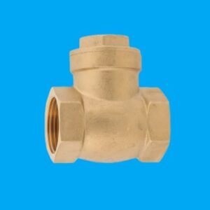 Válvula de retenção horizontal com portinhola 2.1/2 REF - 423