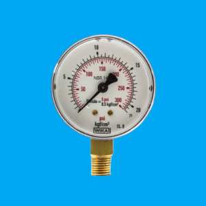 Manômetro 63MM RT CXINOX C GL 21353063L R1 4NPT 300PSI 21K REF - 2138