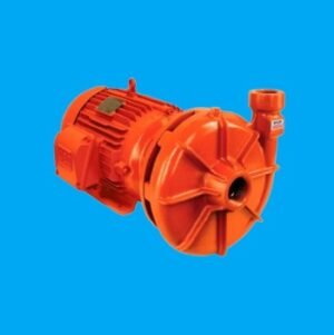 Bomba SCHNEIDER 15CV REF - 229